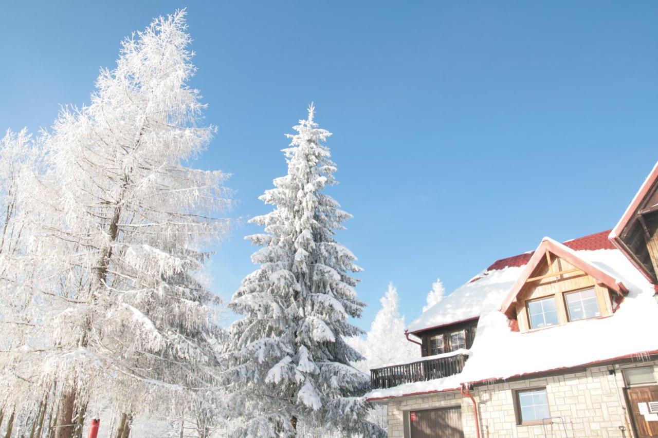 Czajka Bed and Breakfast Szklarska Poręba Exterior foto